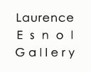 Laurence Esnol Gallery