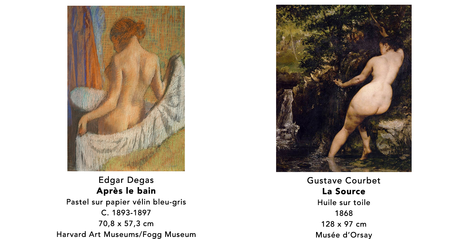 image _2_ Commentaire 5