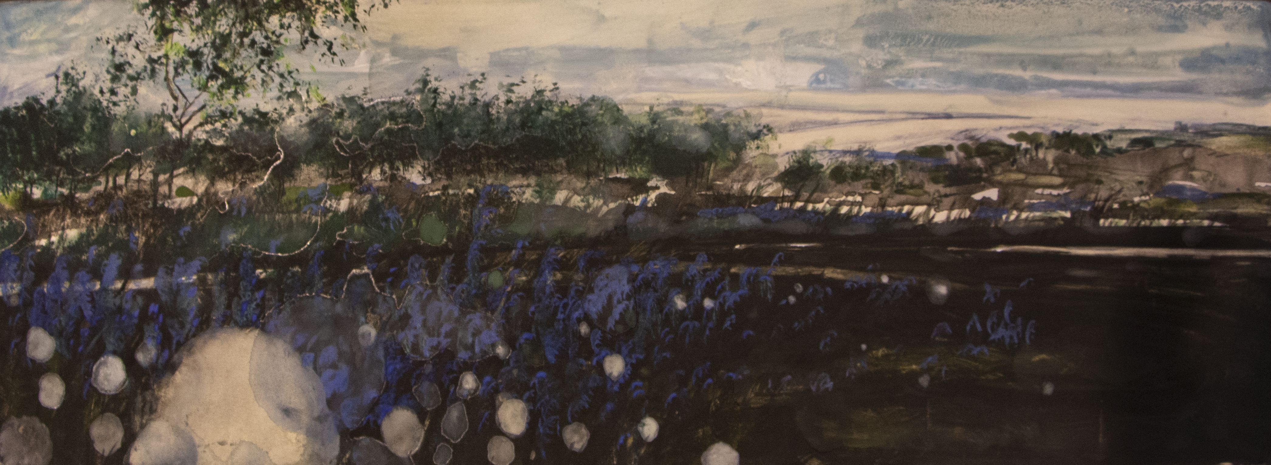 Paysage de Lavande