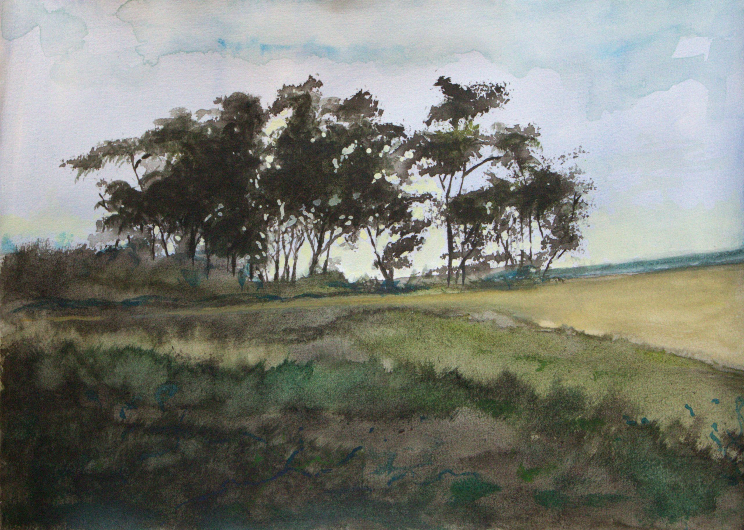 Savane - 21 X 29,7 CM